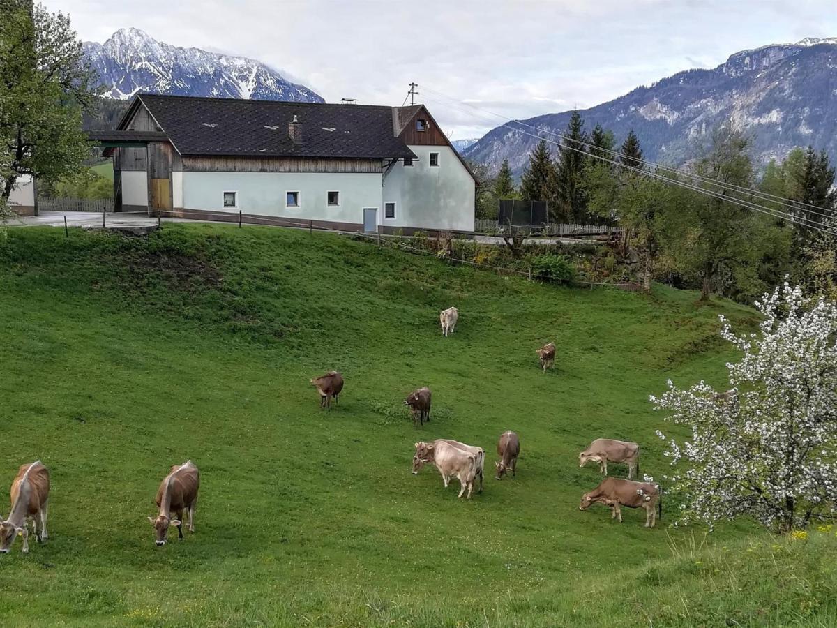 Familienbauernhof Imitz, Ferienwohnung Spital Am Pyhrn Dış mekan fotoğraf